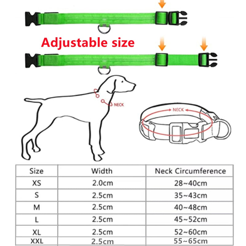 Coleira LED brilhante para animais de estimação zihau.